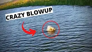 Missing BIG Topwater BlowUps SUCK!(Bass Fishing)