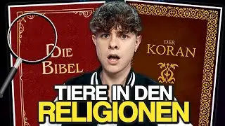 Tierschutz im Christentum & Islam | ANALYSE
