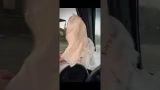 PRIDE БЛ*ТЬ!!!! ЧТО ЛУЧШЕ ,PRIDE ИЛИ DEAFBONCE
