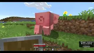 Somthings after me (Video 3)