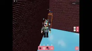 bild new hous