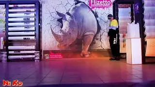 ANIMATION DANCE|KAZAKHSTAN|KOSTANAY|UNDO|NiKo|2019