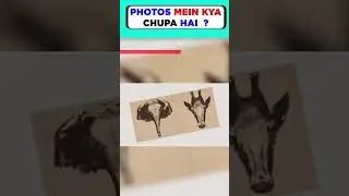क्या हे Photos का राज़ ? - Facts | #Shorts