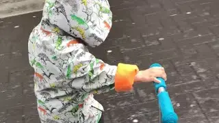 Snails find a free joy ride on a little boy's scotty || WooGlobe