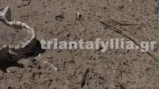 Ανθρώπινα οστά - Αρχαιολογικά ευρήματα στο «Λάδι»