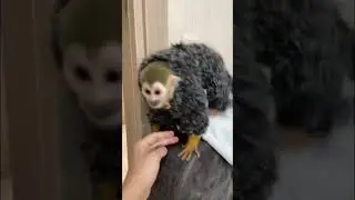 Вот что получилось 