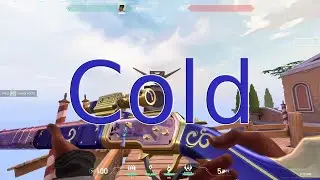 Valorant COLD montage