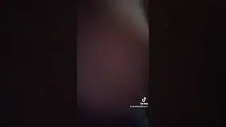 22 ноября 2021 г.