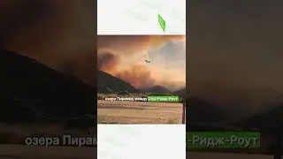 Эвакуация жителей Калифорнии #калифорния #новостисша #california