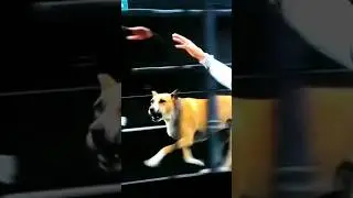 There's So Much Happening in this video