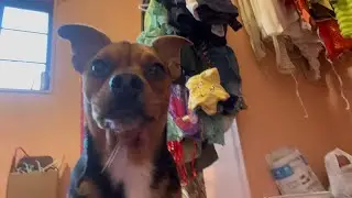 I need help?!?! 🤯