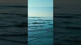 If You See This, Run Away Immediately 