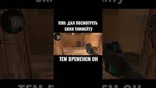 стендофф тиммейт скин 