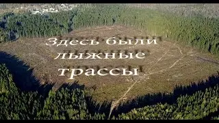 Березники гибель лыжных трасс