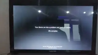 Windows 11 Has BSOD (Old Video)