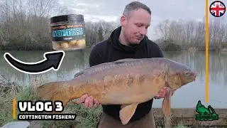 Cottington Lakes | New Pepper | Carp Fishing | Chasing the 40lb Carp Vlog 3