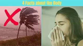 Facts Matter! 4 Facts that you didn't know