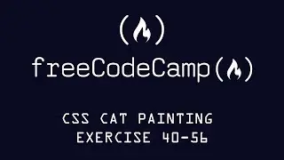 Free Code Camp Learn Intermediate CSS Building A Cat Painting Exercise 40-56