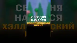 ВСЕ О МЕШОЧКАХ С ХЭЛЛОУИНА TERRARIA!!! 