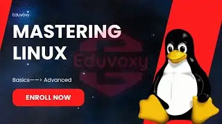 Mastering Linux Basics and Advanced File Operations | Complete Linux Training Course 