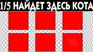 5 ГОЛОВОЛОМОК, КОТОРЫЕ ПРОВЕРЯТ ВАШУ ВНИМАТЕЛЬНОСТЬ