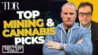 Would We Buy These Four Small Cap Stocks? | Trade to Black Small Cap Sunday