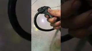 Как думаете, что теперь с ней будет? 