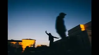 Sirotkin - Лилии