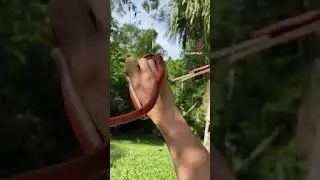 Catching Bright Red Snake