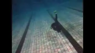 Базовый курс фридайвинга