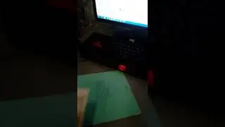 Когда Сагваро встали на лиду