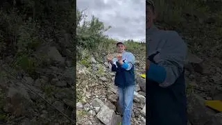 Малыш жерех на kastmaster