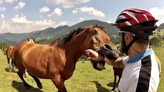 MAN AND BEAST - Part 28 - Great Animal Compilations