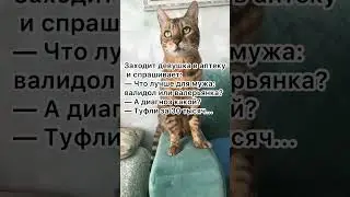 Заходит девушка... 