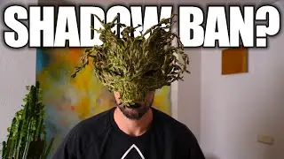 Shadowban? So geht’s jetzt mit dem Kanal weiter!