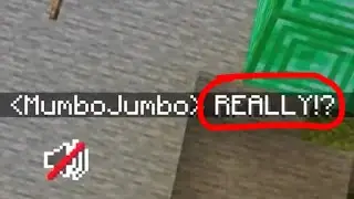 Hermitcraft's lag problem...
