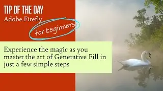 Generative Fill for Beginners