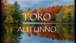 TORO 🍂 AUTUNNO 2024