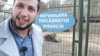Antik Köy Hayvanat Bahçesi