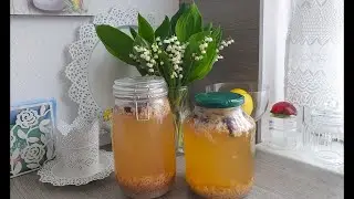 Квас живого брожения!Новый ролик!