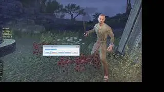 Elder Scrolls Online: speedhack, wallhack, flyhack, jumphack, zoomhack, etc