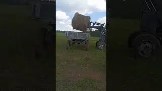 МТЗ-82 с куном #сенокос