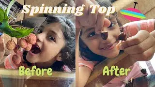 Making Spinning Top Toy from Litchi | Latto from the seed of Litchi | Lattu | Fun and learn, Larissa