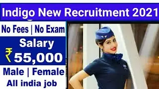 Indigo Cabin Crew Vacancy 2021 | Indigo Vacancy 2021