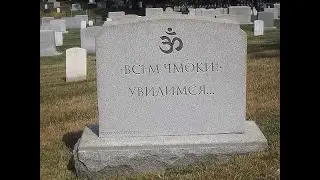 #УБИЙСТВЕННЫЕ  КОШКИ#нарезки КОТЭ