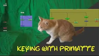 Nuke Tutorial – Chroma Removal with Primatte node in Nuke | Keying in Nuke | Primatte Keyer[HINDI]