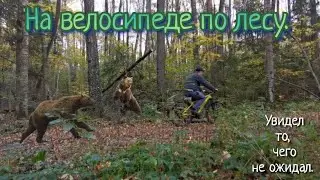 На велосипеде по лесу. Открываю для себя новые места. По пути нашёл интересные моменты.