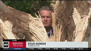 Surveying storm damage in Carrollton