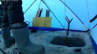 рыбалка на амуре на резинку 19.02.23