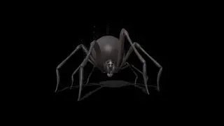 Spider Idle | Motion Graphics - Videohive template